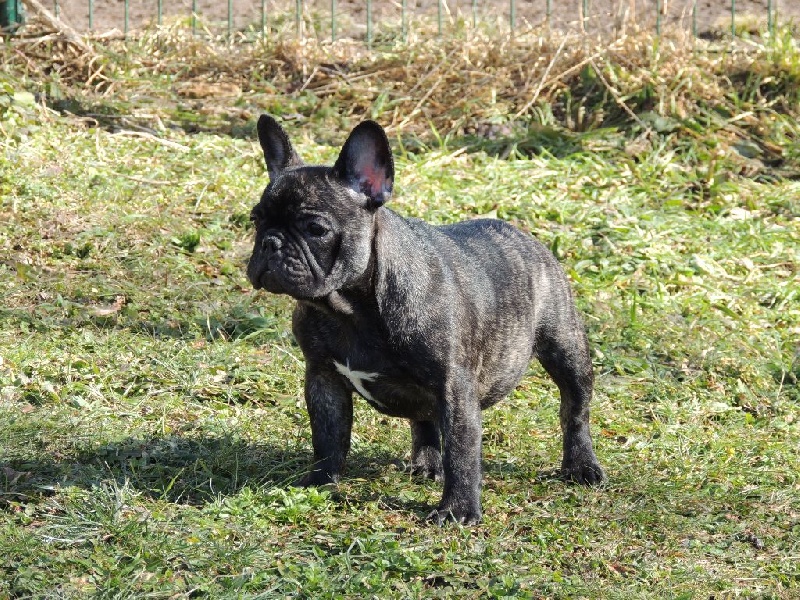 Jersey du Terroir de fontfroide